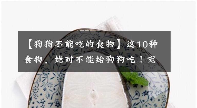 【狗狗不能吃的食物】這10種食物，絕對不能給狗狗吃！寵主要注意