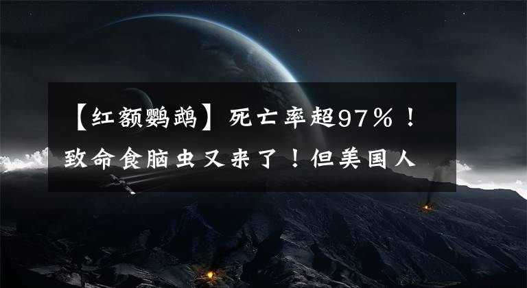 【紅額鸚鵡】死亡率超97％！致命食腦蟲又來了！但美國人卻把它變成了搞笑新聞...