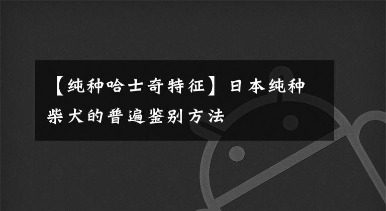 【純種哈士奇特征】日本純種柴犬的普遍鑒別方法