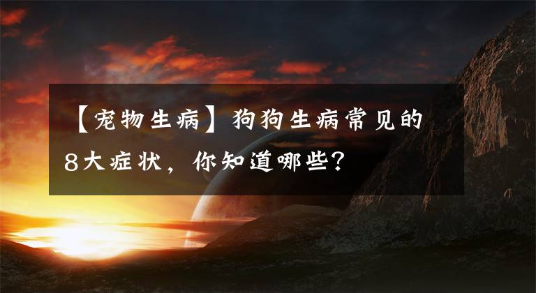 【寵物生病】狗狗生病常見的8大癥狀，你知道哪些？