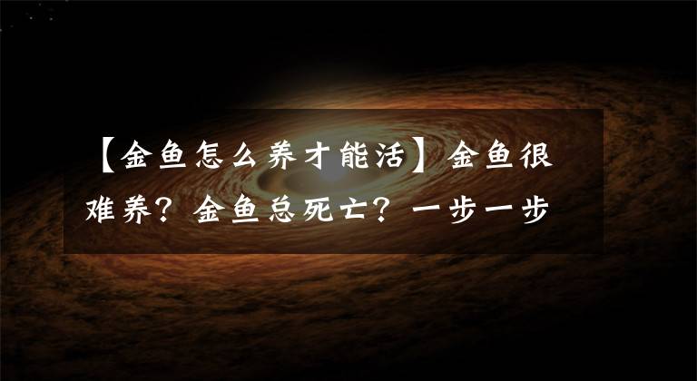 【金魚怎么養(yǎng)才能活】金魚很難養(yǎng)？金魚總死亡？一步一步教您養(yǎng)金魚，做到就能不死魚