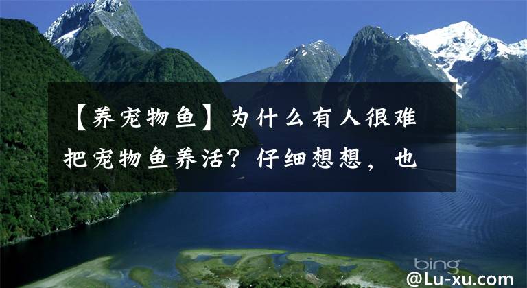 【養(yǎng)寵物魚】為什么有人很難把寵物魚養(yǎng)活？仔細(xì)想想，也不能全怪觀賞魚新手