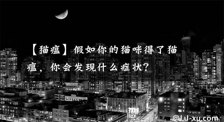 【貓瘟】假如你的貓咪得了貓瘟，你會發(fā)現(xiàn)什么癥狀？