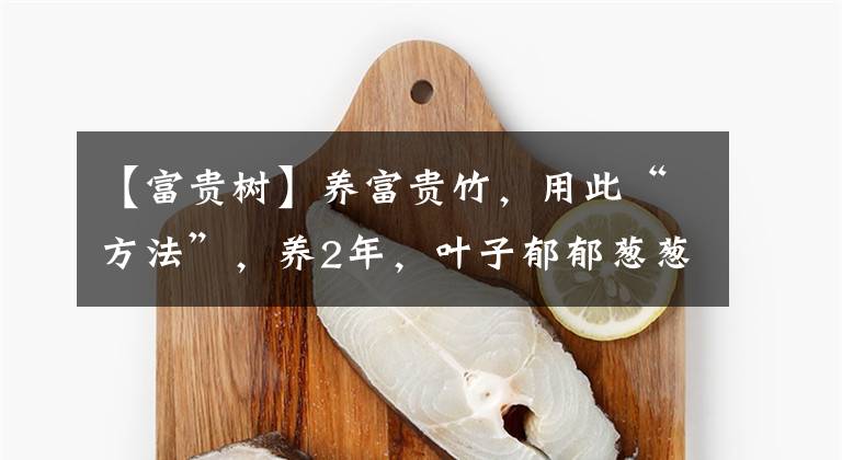 【富貴樹】養(yǎng)富貴竹，用此“方法”，養(yǎng)2年，葉子郁郁蔥蔥，變成“富貴樹”