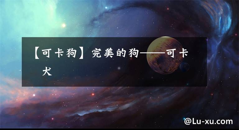 【可卡狗】完美的狗——可卡獚犬