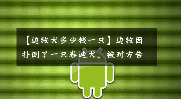 【邊牧犬多少錢一只】邊牧因撲倒了一只泰迪犬，被對方告上法庭，判決結(jié)果卻沒有贏家