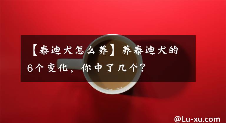 【泰迪犬怎么養(yǎng)】養(yǎng)泰迪犬的6個變化，你中了幾個？