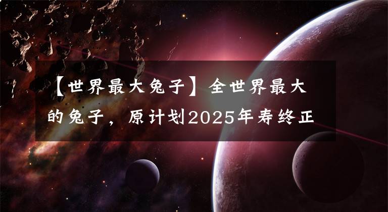 【世界最大兔子】全世界最大的兔子，原計劃2025年壽終正寢，如今面臨巨大考驗