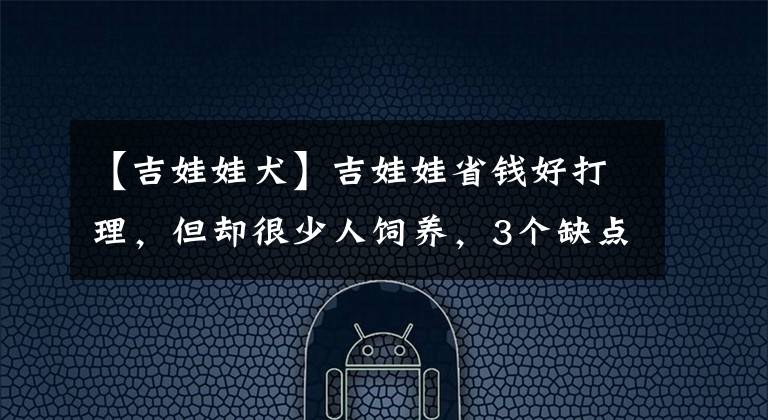 【吉娃娃犬】吉娃娃省錢好打理，但卻很少人飼養(yǎng)，3個(gè)缺點(diǎn)令人難以忍受