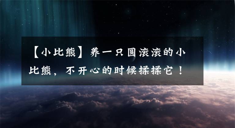 【小比熊】養(yǎng)一只圓滾滾的小比熊，不開心的時候揉揉它！