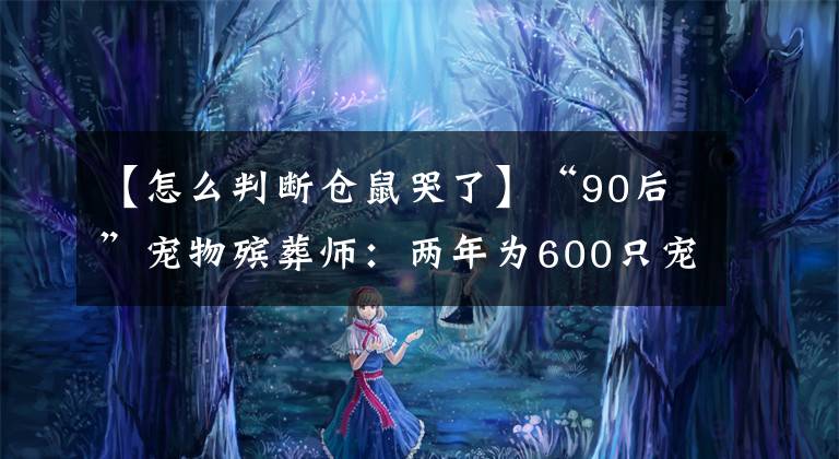 【怎么判斷倉鼠哭了】“90后”寵物殯葬師：兩年為600只寵物處理“身后事”在悲傷中見證溫暖