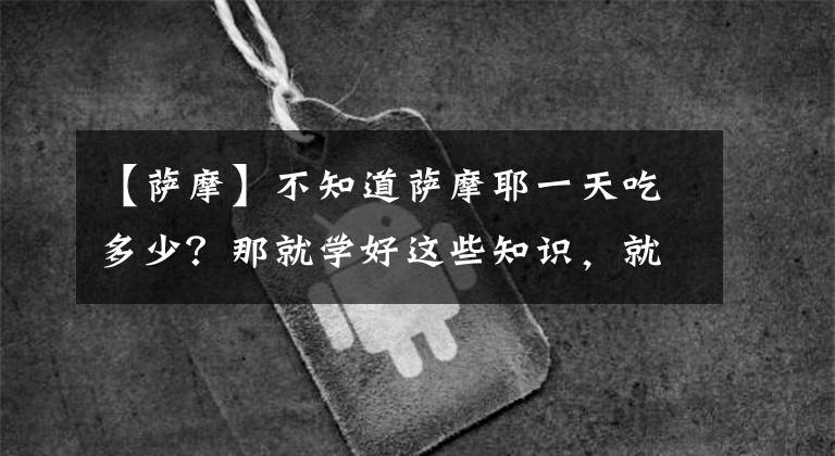 【薩摩】不知道薩摩耶一天吃多少？那就學好這些知識，就養(yǎng)出健康的薩摩