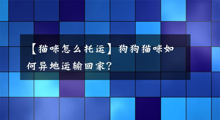 【貓咪怎么托運(yùn)】狗狗貓咪如何異地運(yùn)輸回家？