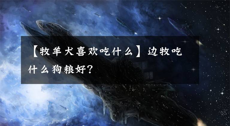 【牧羊犬喜歡吃什么】邊牧吃什么狗糧好？