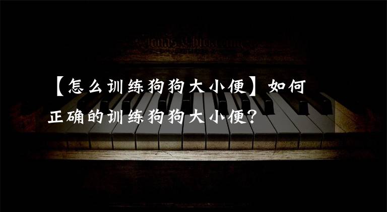 【怎么訓練狗狗大小便】如何正確的訓練狗狗大小便？