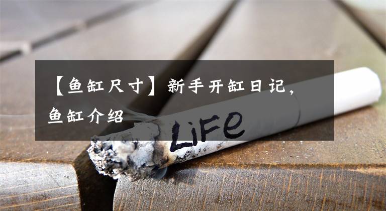 【魚缸尺寸】新手開缸日記，魚缸介紹