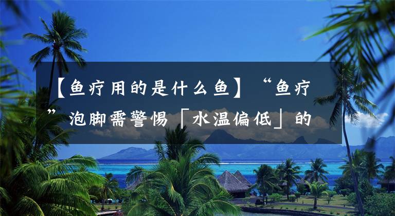 【魚療用的是什么魚】“魚療”泡腳需警惕「水溫偏低」的溫泉泡腳易傳染