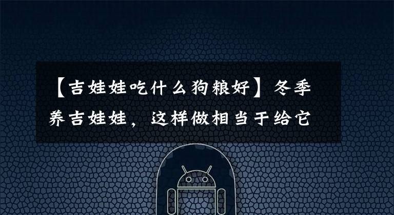 【吉娃娃吃什么狗糧好】冬季養(yǎng)吉娃娃，這樣做相當于給它“折壽”