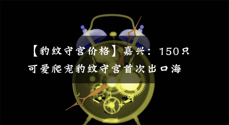 【豹紋守宮價(jià)格】嘉興：150只可愛(ài)爬寵豹紋守宮首次出口海外