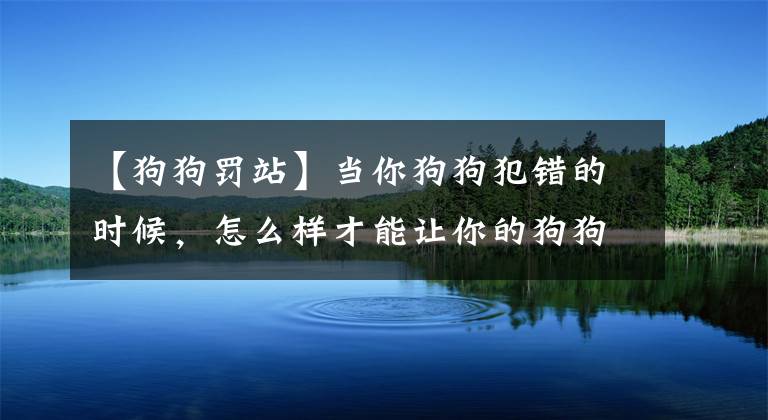 【狗狗罰站】當(dāng)你狗狗犯錯的時候，怎么樣才能讓你的狗狗罰站？