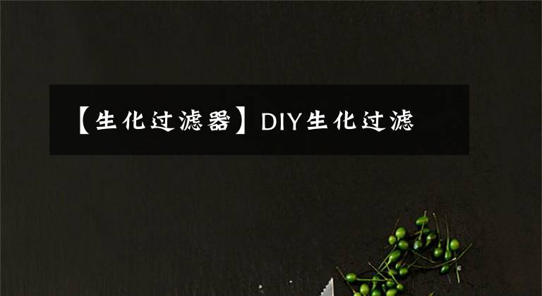 【生化過濾器】DIY生化過濾