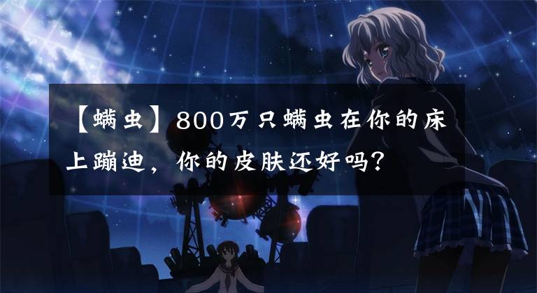 【螨蟲】800萬只螨蟲在你的床上蹦迪，你的皮膚還好嗎？