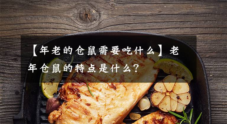 【年老的倉鼠需要吃什么】老年倉鼠的特點(diǎn)是什么？