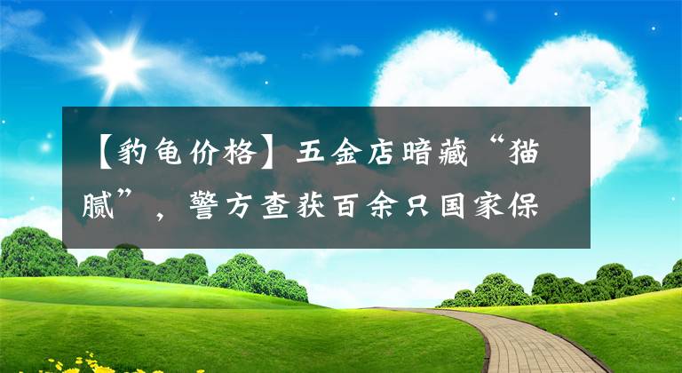 【豹龜價(jià)格】五金店暗藏“貓膩”，警方查獲百余只國(guó)家保護(hù)鸚鵡！