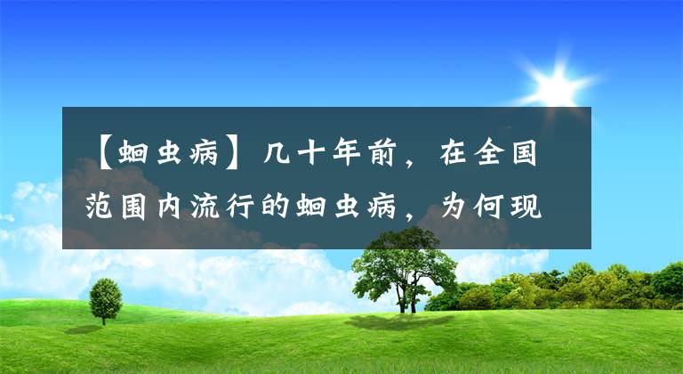 【蛔蟲病】幾十年前，在全國(guó)范圍內(nèi)流行的蛔蟲病，為何現(xiàn)在很少見到了？