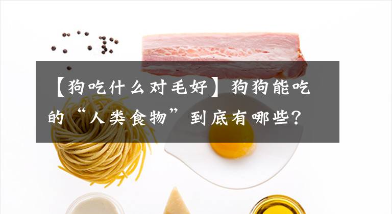 【狗吃什么對(duì)毛好】狗狗能吃的“人類(lèi)食物”到底有哪些？不知道的，看過(guò)來(lái)