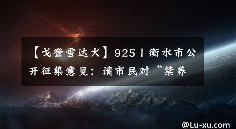 【戈登雪達犬】925丨衡水市公開征集意見：請市民對“禁養(yǎng)大型犬、烈性犬品種”提出意見（附名錄）