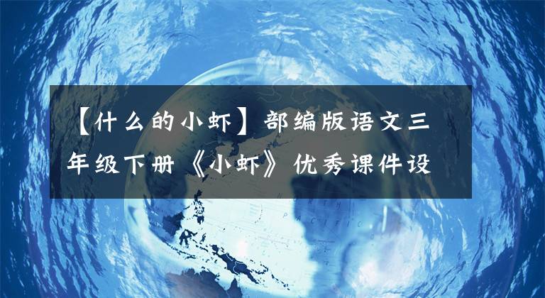 【什么的小蝦】部編版語文三年級下冊《小蝦》優(yōu)秀課件設(shè)計