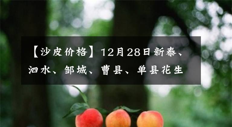 【沙皮價(jià)格】12月28日新泰、泗水、鄒城、曹縣、單縣花生價(jià)格，你賣對(duì)了么