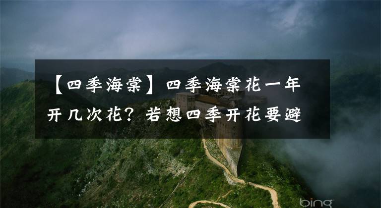 【四季海棠】四季海棠花一年開幾次花？若想四季開花要避開“三忌”