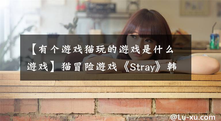 【有個游戲貓玩的游戲是什么游戲】貓冒險游戲《Stray》韓國等級將于2022年發(fā)行