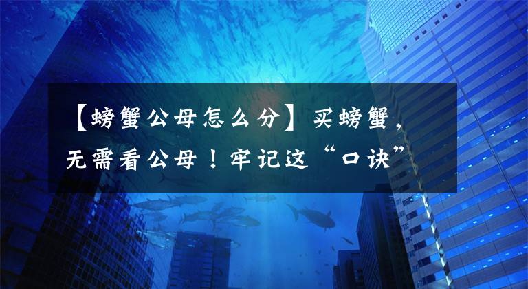 【螃蟹公母怎么分】買螃蟹，無需看公母！牢記這“口訣”，保你挑的螃蟹個個肥