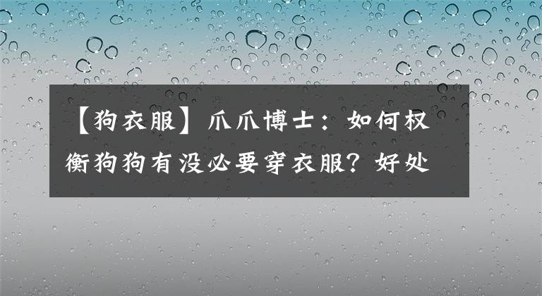 【狗衣服】爪爪博士：如何權(quán)衡狗狗有沒(méi)必要穿衣服？好處與壞處解析