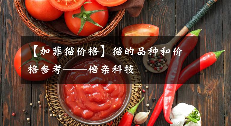 【加菲貓價(jià)格】貓的品種和價(jià)格參考——倍親科技