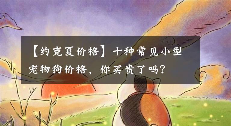 【約克夏價格】十種常見小型寵物狗價格，你買貴了嗎？