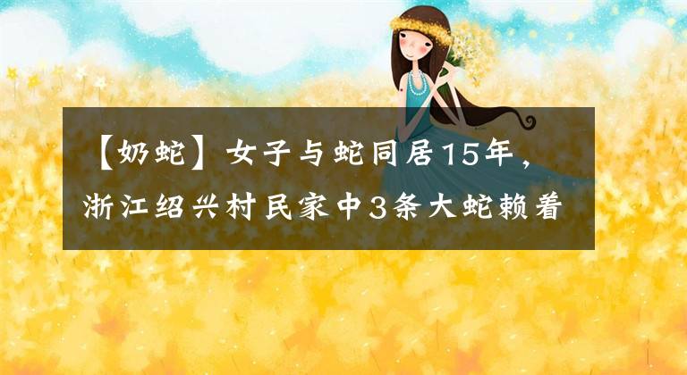 【奶蛇】女子與蛇同居15年，浙江紹興村民家中3條大蛇賴著不走，啥情況？