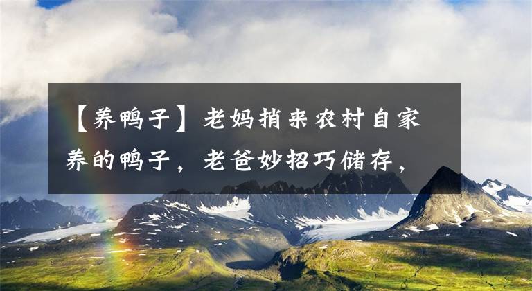 【養(yǎng)鴨子】老媽捎來農(nóng)村自家養(yǎng)的鴨子，老爸妙招巧儲存，吃多少取多少特方便