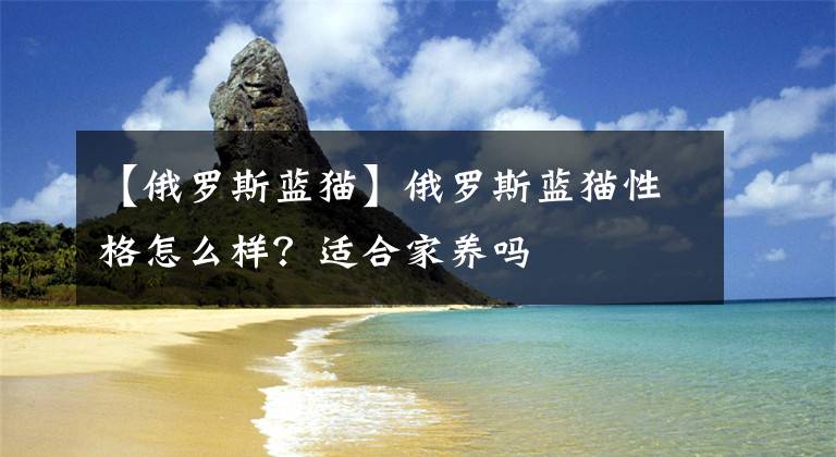 【俄羅斯藍(lán)貓】俄羅斯藍(lán)貓性格怎么樣？適合家養(yǎng)嗎