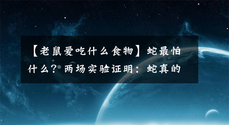 【老鼠愛吃什么食物】蛇最怕什么？?jī)蓤?chǎng)實(shí)驗(yàn)證明：蛇真的不怕雄黃粉，專家說明了原因