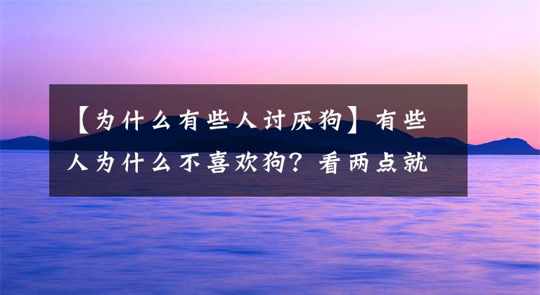 【為什么有些人討厭狗】有些人為什么不喜歡狗？看兩點(diǎn)就知道了