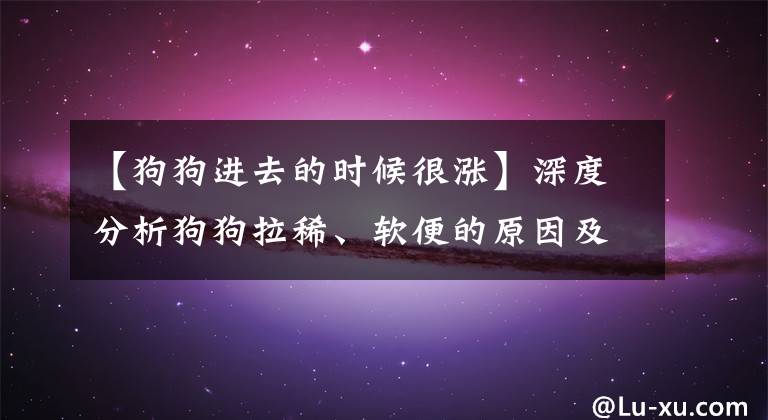 【狗狗進去的時候很漲】深度分析狗狗拉稀、軟便的原因及治療預(yù)防方法，建議收藏！