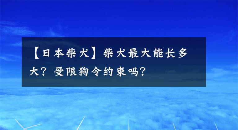 【日本柴犬】柴犬最大能長多大？受限狗令約束嗎？