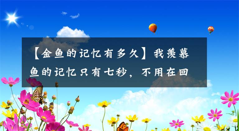 【金魚的記憶有多久】我羨慕魚的記憶只有七秒，不用在回憶里煎熬——張愛玲