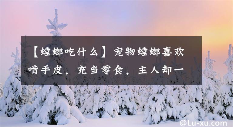 【螳螂吃什么】寵物螳螂喜歡啃手皮，充當(dāng)零食，主人卻一臉享受樣子