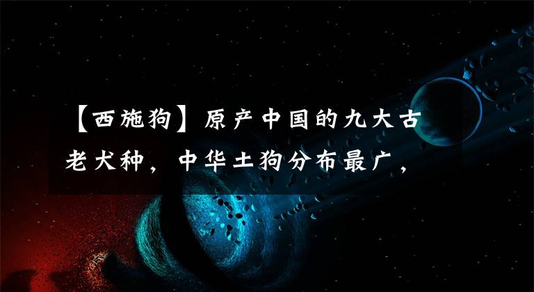 【西施狗】原產(chǎn)中國的九大古老犬種，中華土狗分布最廣，看看你家是哪一種？