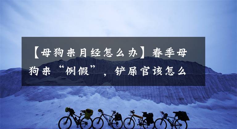 【母狗來月經(jīng)怎么辦】春季母狗來“例假”，鏟屎官該怎么照顧好它？